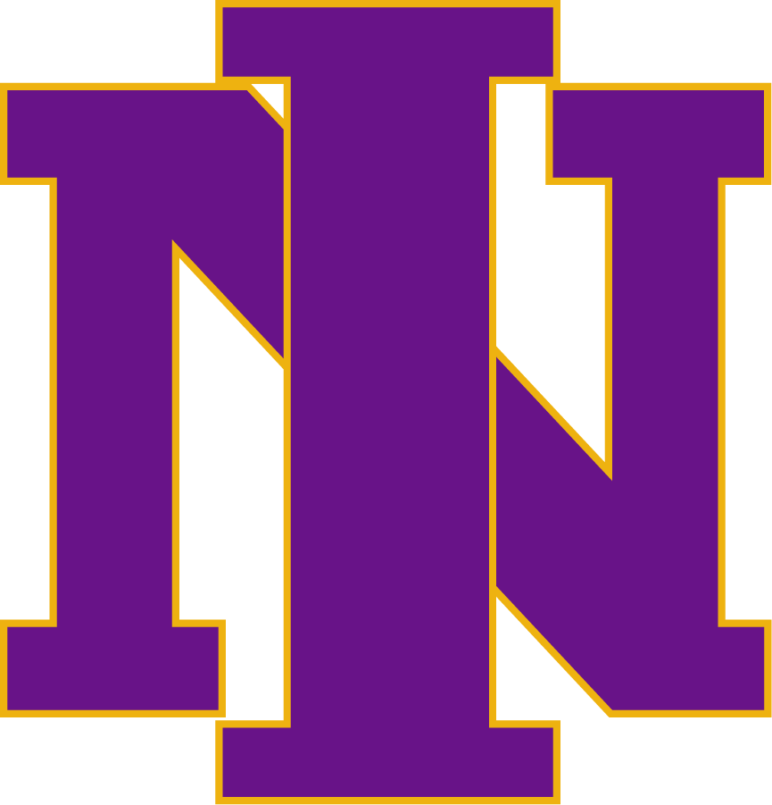 Northern Iowa Panthers 2000-2001 Primary Logo DIY iron on transfer (heat transfer)